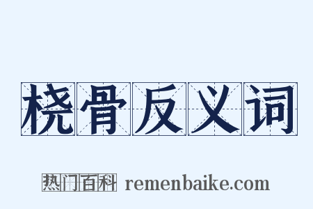 桡骨反义词是什么意思的图片